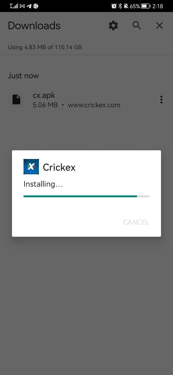 Install the app and start betting with Crickex.