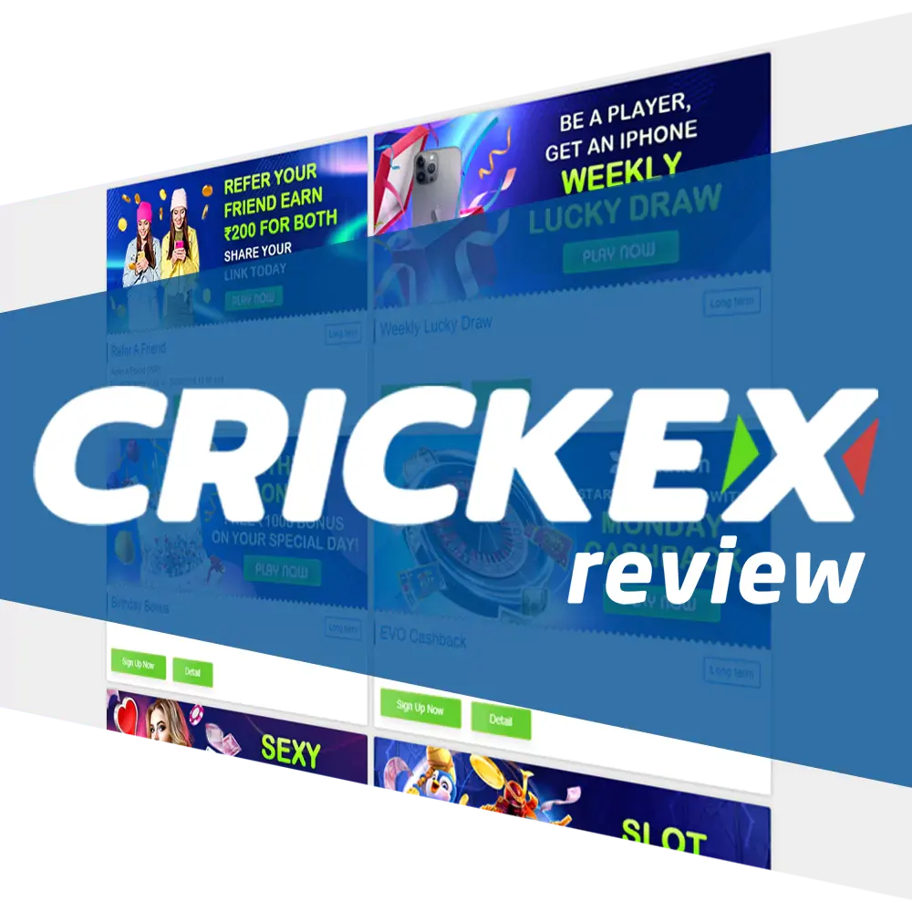 Learn more about our company at official Crickex website.