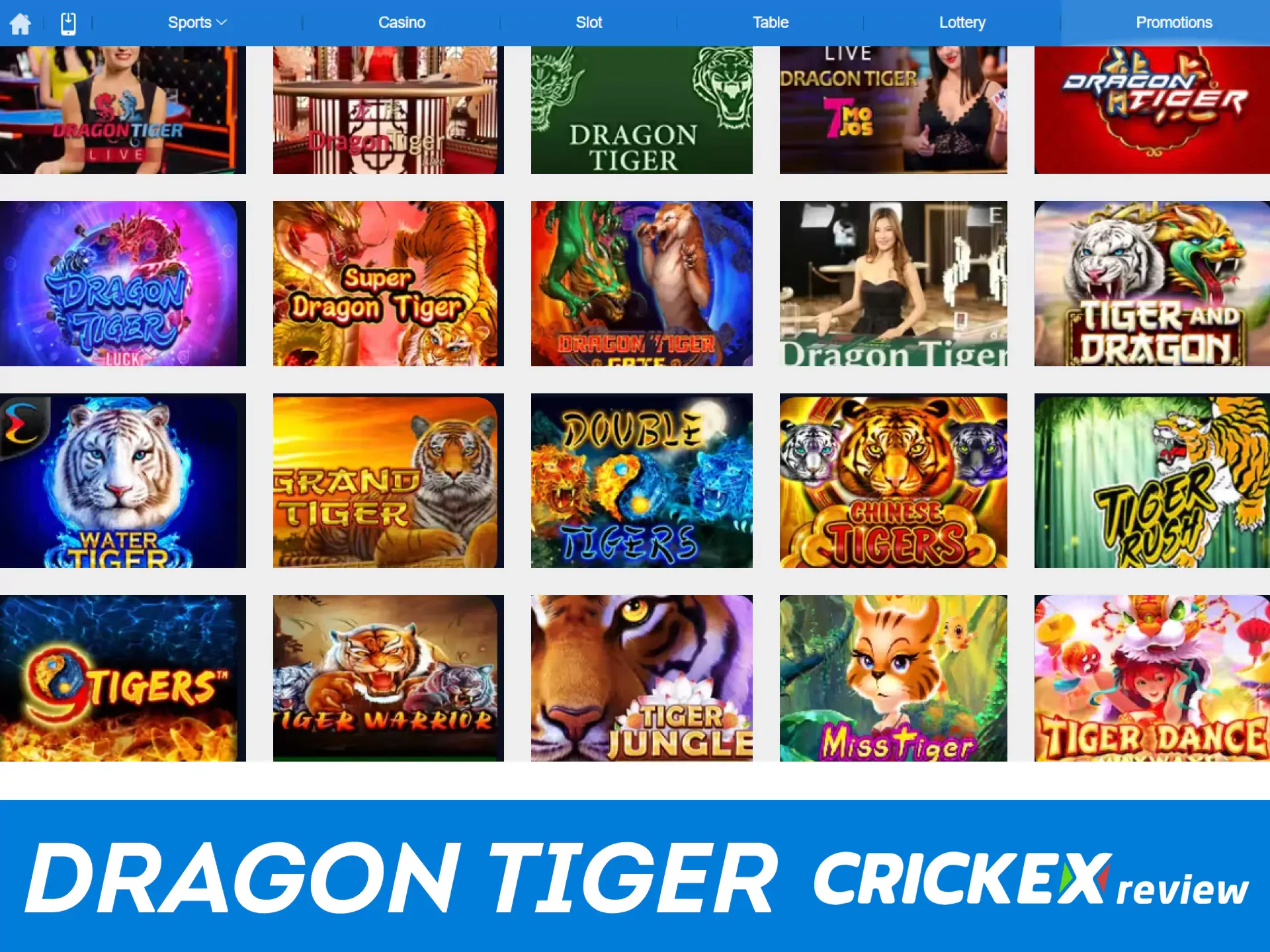 For casino games, choose Dragon Tiger from Crickex.