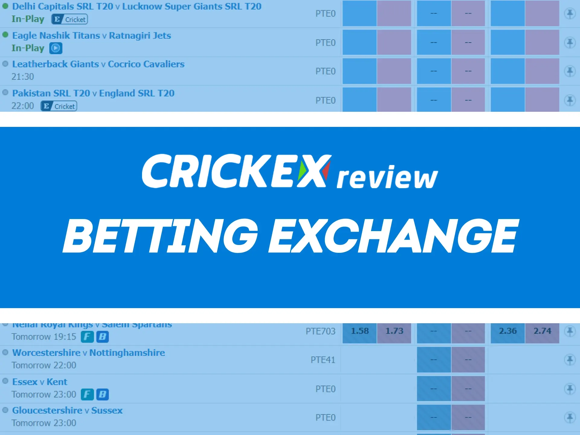 Choose what you want to bet on Crickex.