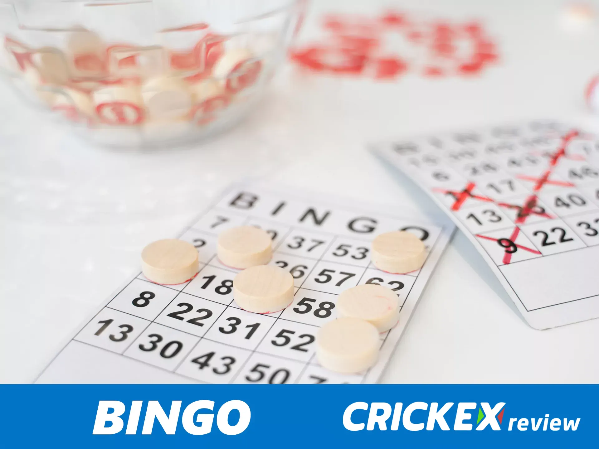Play online Bingo with other Crickex users.