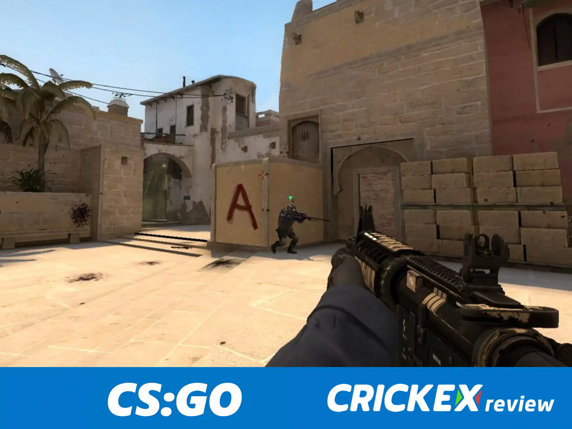 Crickex offers betting on CS:GO in India.