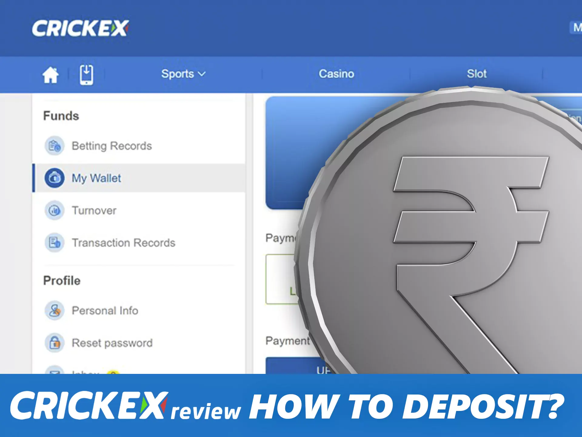 Make a deposit to Crickex in any supported way.